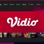 Logo Produk Vidio